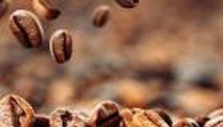 اليوم العالمي للقهوة.. كيف تختار نوع القهوة المناسب لك؟