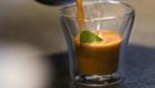 احتياطي استراتيجي نادر.. لماذا تحتفظ كندا بـ«القيقب» منذ 25 عاما؟