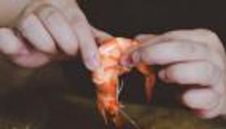 تحذير لمحبي المأكولات البحرية: جزيئات بلاستيكية خطيرة في الجمبري