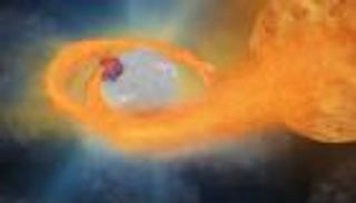 مصاص دماء كوني.. نجم يلتهم جاره في مشهد مروع بالفضاء