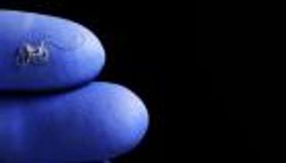 نتائج سريرية واعدة.. قرص ثوري لعلاج الديدان المعوية