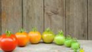 ساعي بريد بيولوجي.. مركب مسؤول عن إرسال إشارات نضج الفواكه