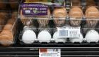 أسعار البيض تؤرق الأمريكيين