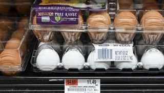 البيض في أمريكا