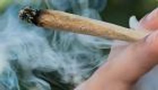 تدخين الحشيش في المنزل.. التلوث يخترق أجسام الأطفال