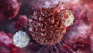 نهج مبتكر يحرك جهاز المناعة ضد 