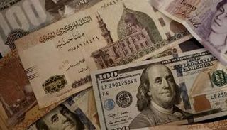 الدولار الأمريكي 