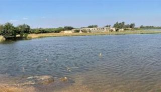 تحذير بأشمون بسبب فيضان النيل