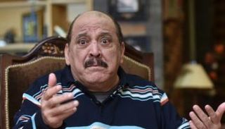 ضياء الميرغني