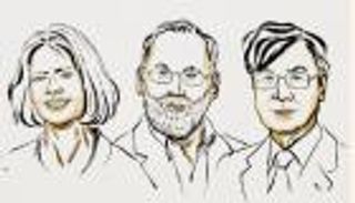 أمريكيان وياباني يفوزون بجائزة نوبل للطب 2025