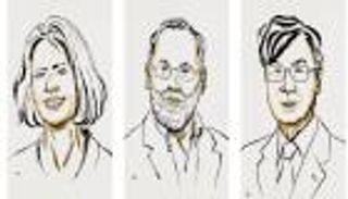 «الخلايا التائية التنظيمية» وراء فوز 3 علماء بجائزة نوبل للطب 2025