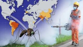 المرض يسبب حمى حادة وألماً مزمناً في المفاصل