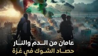 حصاد حرب غزة في عامين