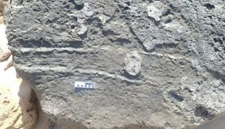 أثر محتمل لمؤخرة وبر صخري