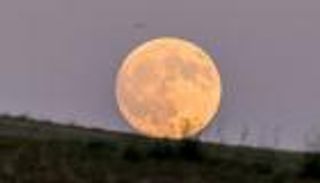 أول أقمار 2025 العملاقة يلتقي بزحل في عرض سماوي خيالي