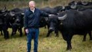 حياة ما بعد السلطة.. مستشار ألمانيا السابق بين الجاموس والأغنام