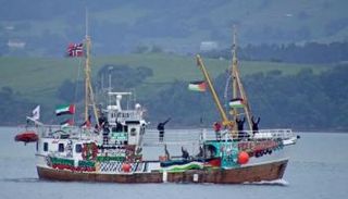 أعلام فلسطين على قارب - أرشيفية