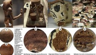 الباحثون حددوا أنواع الأخشاب المستخدمة في القطع الأثرية دون الحاجة لأخذ عينات 