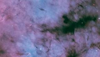 ولادة نجوم جديدة