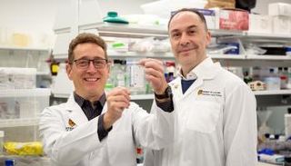 باحثون يجمعون قصاصات أظافر القدم للتحليل