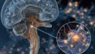 علماء يعثرون على «مفتاح» إطفاء الألم المزمن نهائيا