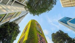 مصدر الصورة كانفا.