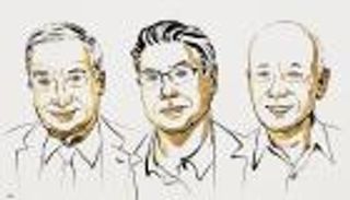 من هم الفائزون بجائزة نوبل للاقتصاد 2025؟إنجاز عالمي جديد