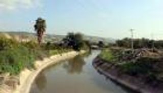 غرق 3 أطفال أشقاء في دير علا يفجع الأردنيين