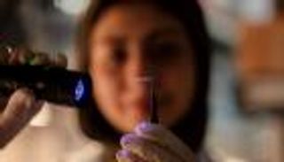 باحثون في «نيويورك أبوظبي» يبتكرون وسيلة لعلاج الاضطرابات العصبية