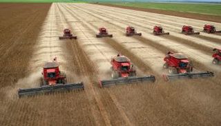 حصاد فول الصويا في الولايات المتحدة