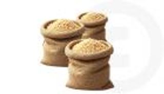 القمح الفرنسي في مأزق تاريخي.. مخزونات قياسية وتراجع الطلب والصيني