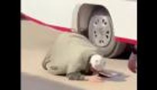 القبض على «كمسري» حادثة أتوبيس الدقهلية.. تسبب في سقوط «عم فوزي»