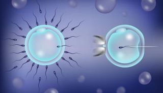 التلقيح الصناعي