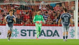 زيدان حارس غرناطة الإسباني