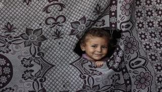 طفل فلسطيني ينظر من خلال ثقب في ستارة داخل مسجد الإمام الشافعي بغزة