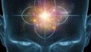 بقيادة حائز على نوبل.. مشروع علمي ضخم لكشف أسرار &laquo;الحاسة السادسة&raquo;