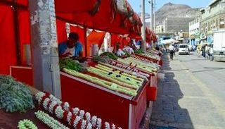 الفُل اللحجي