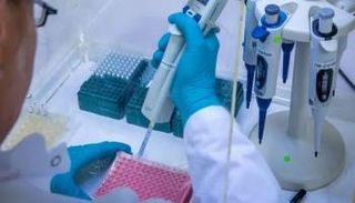 اختبارات الحمض النووي