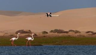 بحيرة خنيفس المغربية