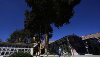 تفاصيل سقوط حافلة ركاب في بوليفيا