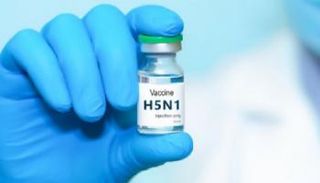 لقاح واحد فقط قد يهزم سلالات إنفلونزا الطيور قبل ظهورها