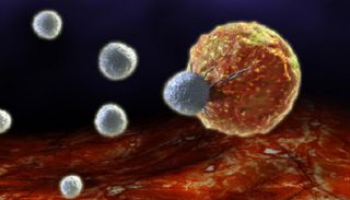 اكتشاف نوع من خلايا المناعة يتغير مع التقدم في العمر