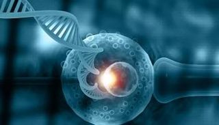 الطريقة الجديدة تعتمد على تصوير لمسح عينة السائل المنوي