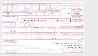 فاتورة الكهرباء في مصر