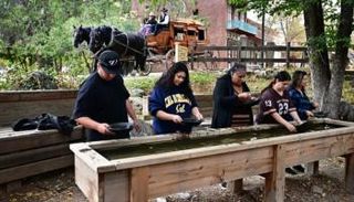 التنقيب عن الذهب في كاليفورنيا