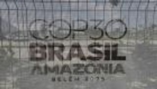 مسؤولة في التحالف العالمي للمناخ: الغابات شريان الحياة.. وتدميرها يهدد البشر جميعا