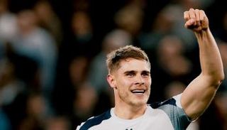 فان دي فين لاعب توتنهام