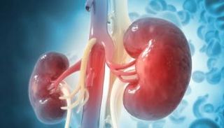 توقيف زوج حاول بيع كلية زوجته