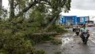 هدية من السماء تنقذ نيوزيلندا