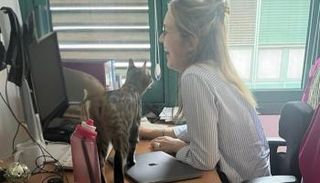 القطة تجولت بين مكاتب السفارة الألمانية بالقاهرة